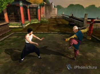 Bruce Lee Dragon Warrior HD iPad