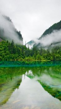 Nature-Foggy-Mountains-Calm-Lake-Forest-iPhone-6-plus-wallpaper-ilikewallpaper_com