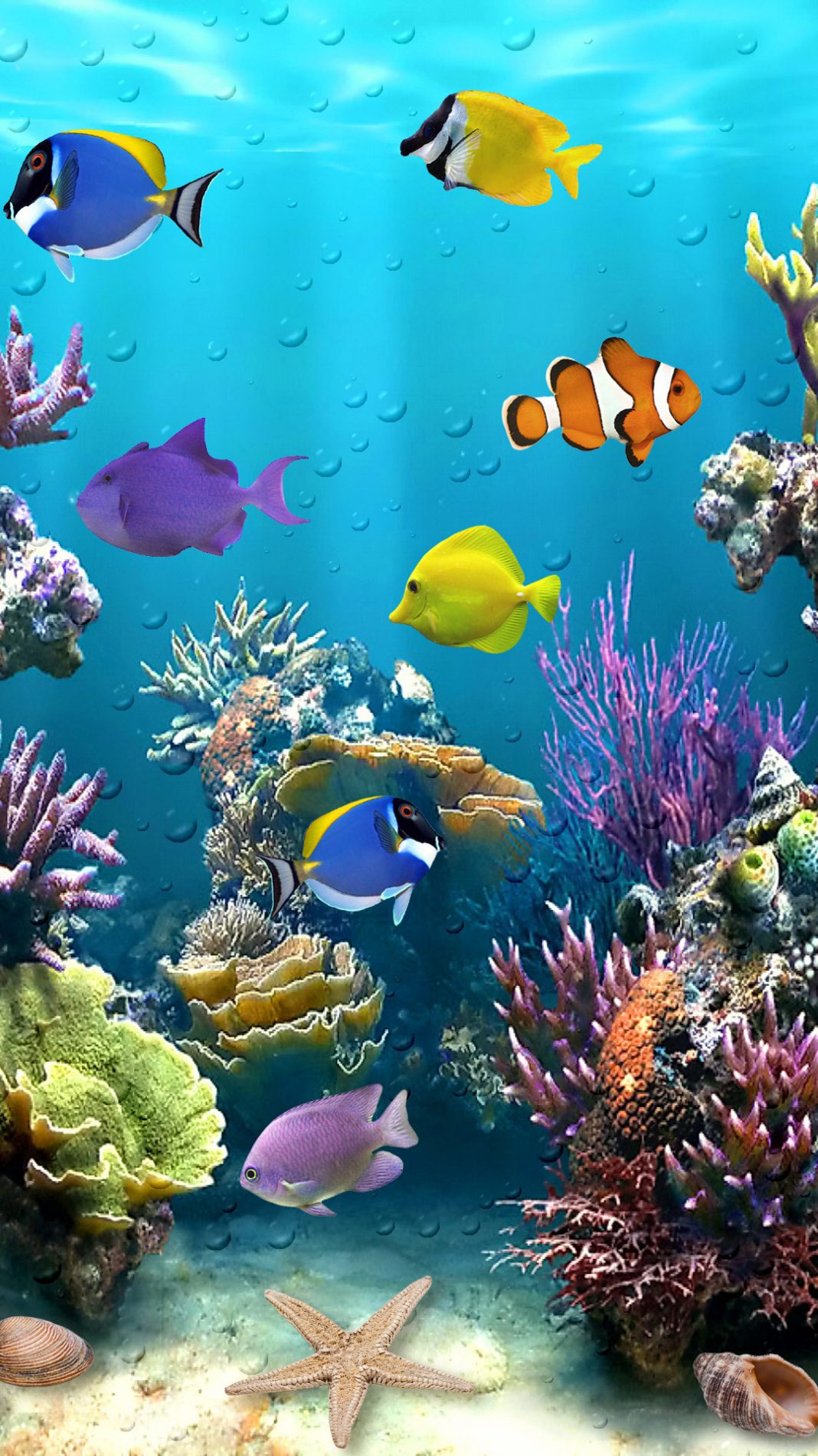 картинки живой аквариум