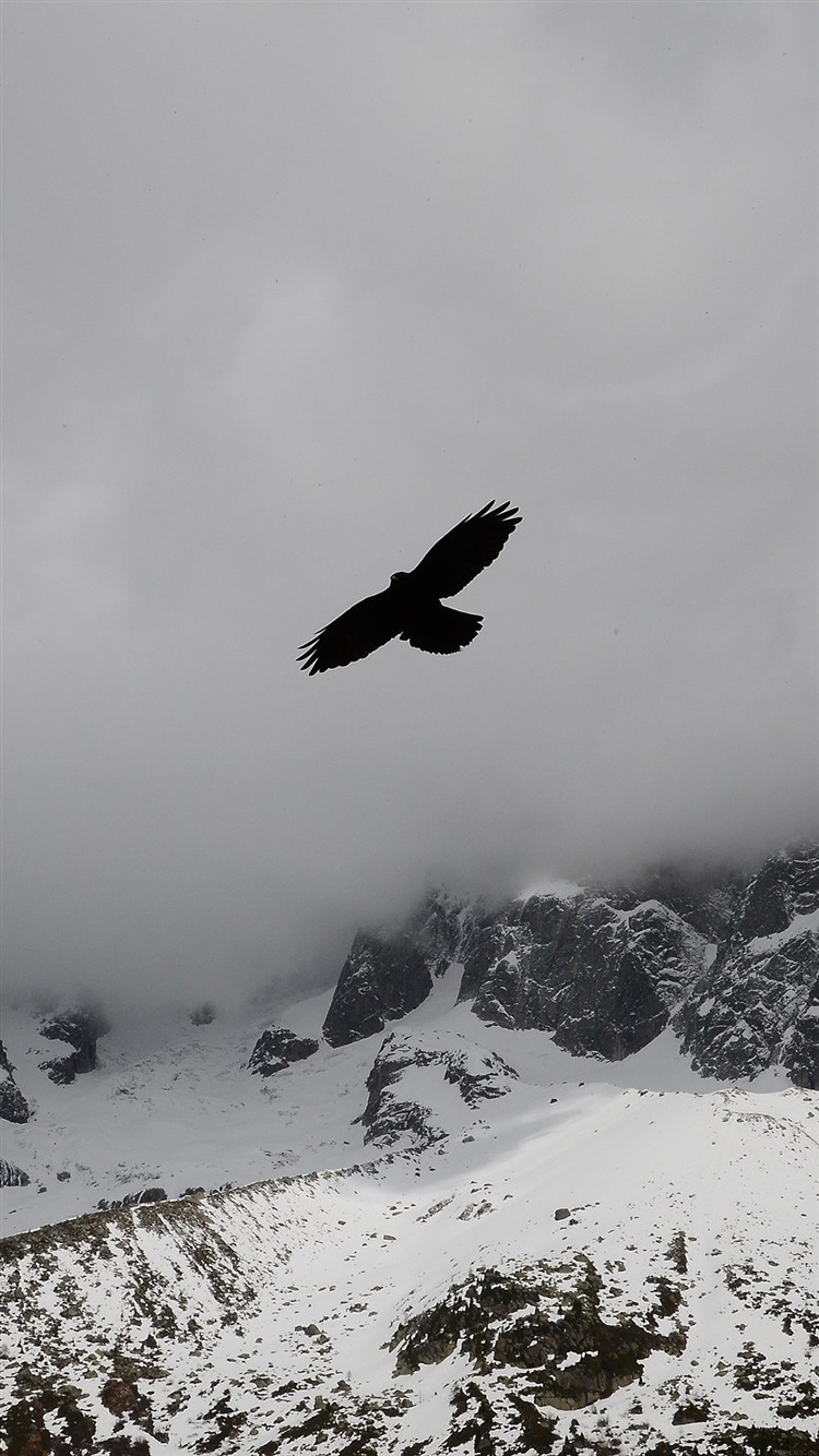 Eagle-Flying-Over-Winter-Snow-Mountains-iPhone-6-wallpaper-ilikewallpaper_com_750