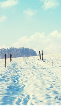 Outdoor-Sunny-Snow-Filed-Path-iPhone-6-plus-wallpaper-ilikewallpaper_com