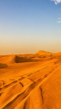 Pure-Nature-Golden-Desert-Landscape-iPhone-6-plus-wallpaper-ilikewallpaper_com