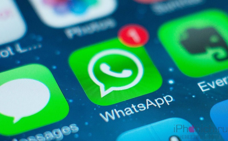 Программа whatsapp для iphone