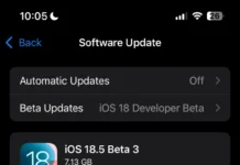 Экран iPhone с iOS 18.5 Beta 3 в «Настройках» > «Обновление ПО». Alt: «iOS 18.5 Beta 3 на iPhone 2025»