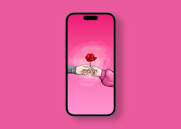 День розы iPhone обои