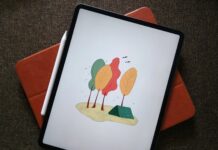 Лучшие iPad для творческих личностей