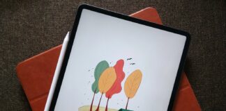 Лучшие iPad для творческих личностей
